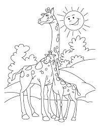 Giraffes coloring pages free coloring pages. Giraffe Coloring Pages Printable Coloring Home
