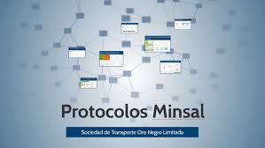 Is responsible for this page. Protocolos Minsal By Natalia Miranda On Prezi Next