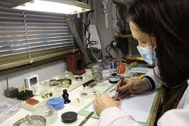 Interdit D Entrer Dans Le Petit Atelier De La Bijouterie Bobard A Segre Haut Anjou
