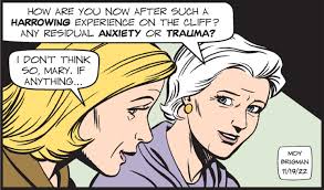 Mary Worth Comic Strip 2022-11-20