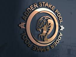 This is a great video to get you more familiar with the cardano ecosystem. 7 Things To Consider When Choosing A Cardano Stake Pool Updated Viper Staking