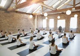 We did not find results for: Cya Insurance Hub International