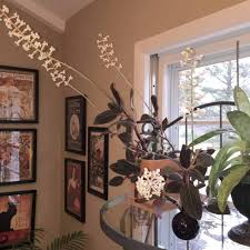 One peek at this orchid and you'll understand why. How To Grow Ludisia Discolor The Beautiful Jewel Orchid