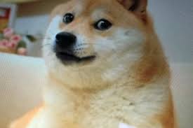 Figuring out how to invest in cryptocurrency is a lot like learning how to invest in anything else. 5 Cryptocurrencies To Buy Other Than Dogecoin Or Bitcoin