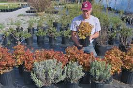 I've used all of these and have had good results. How To Keep Deer Away From Your Garden