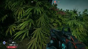 The game is the sequel to the 2011 game rage. Rage 2 Those Are Some Familiar Looking Plants Gaming