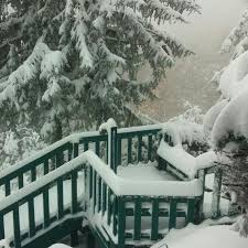 Alfonso Tennessee Vacation Rentals