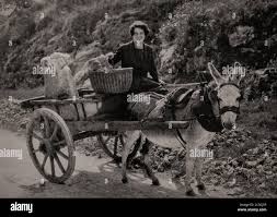 Churn dairy hi-res stock photography ...