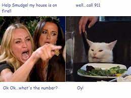 Pin By Vazij On Smudge Most Popular Memes Popular Memes Funny Memes