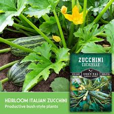 Cocozelle Zucchini Seed for Planting - 1 Packet with Jamaica | Ubuy