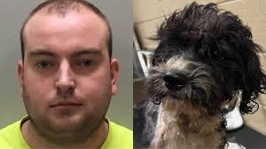 History teacher removed after hanging Black doll in classroom