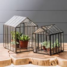 Terrarium Greenhouses Greenhouse Terrarium Greenhouse Plants