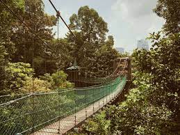 Una impresionante selva cerrada justo en medio de la metrópolis, increíble!!! Kuala Lumpur Hiking Spot In Malaysia Kl Forest Eco Park Doing Life With Iuliya