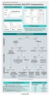 Image result for Pulmonary Function Test