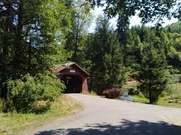 Maybe you would like to learn more about one of these? Valley Of The Giants Falls City 2021 All You Need To Know Before You Go With Photos Tripadvisor