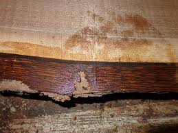 How to make this live edge cedar coffee table with hairpin legs. Finish For Live Edge Slabs With Bark Canadian Woodworking And Home Improvement Forum