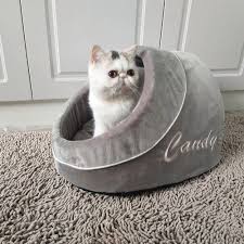 Kitten Panosundaki Pin