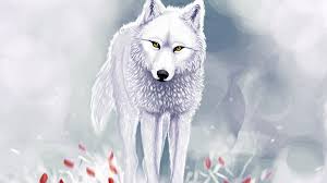 We did not find results for: White Wolf Hd Wallpapers Backgrounds
