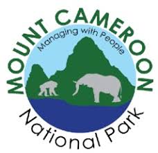 Image result for Hypselodelphys scandens