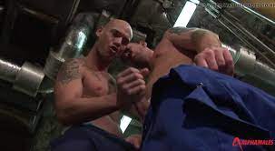 Darren Robins y Kurt Rogers ver en linea