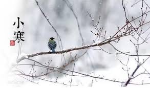 The day marking the beginning of the 23rd solar term (january 5, 6, or 7). å°å¯'ç¯€æ°£ä¾†è‡¨ å¦‚ä½•èª¿ç†é‹å‹¢å¥½