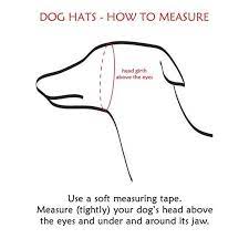 Greyhound Hat Italian Greyhound Hat Greyhound Snood Dog Etsy Dog Snood Pom Dog Dog Hat