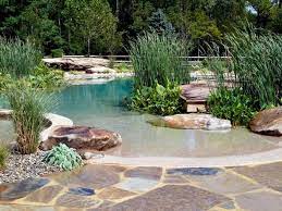 Beach Style Pool Designs Creating A Lake Effect In Modern Yards Natural Swimming Ponds Ponds Backyard Backyard Pool
