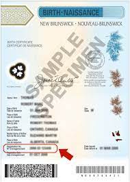 Where Is My Status In Canada Document Number?