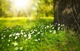 In estate si riposa, in inverno, autunno e primavera si lavora. Cosa Fiorisce Ad Aprile