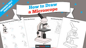 Not one of the courses made by tim davis are public domain! How To Draw A Microscope Really Easy Drawing Tutorial