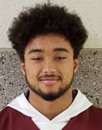 Mishawaka sweeps NIC North top awards