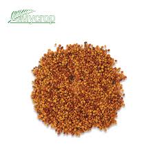 Image result for Calopogonium mucunoides