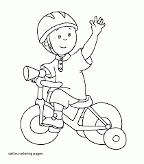 My little pony coloring book: Caillou Cartoon Goodies And Videos