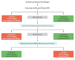 Fact sheet for health professionals. Vitamin B12 Mangel Laborarztliche Diagnostik Labor