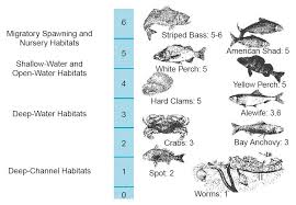 dissolved oxygen criteria chart water pollution