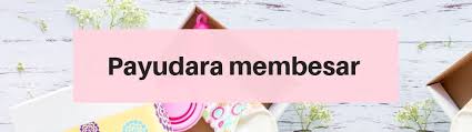 Hal itu berakibat merangsang pertumbuhan kelenjar susu. Nggak Usah Parno 5 Gejala Ini Wajar Terjadi Saat Menstruasi