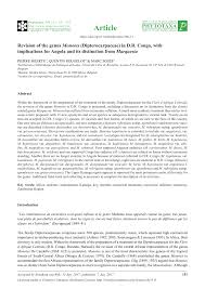 Image result for Monotes dasyanthus