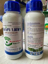 Wifi 1.0EW