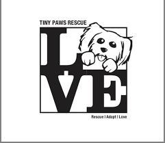 If you would like to join us and help make a difference in dogs' lives, we would love to hear from you. Pets For Adoption At Tiny Paws Rescue Inc In Bristol Pa Petfinder