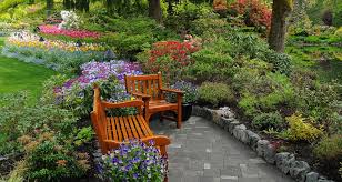 Image result for garden