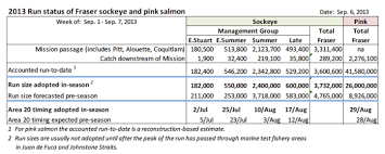 Fraser Salmon Salmon Guy