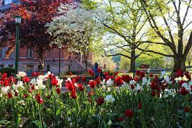 See more ideas about indiana, bloomington, bloomington indiana. 15 Iconic Indiana University Landmarks Visit Bloomington