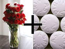 However, technology has led to the use of microwaves, ovens, and chemicals such as silica gel in the drying process. 8 Ways To Preserve Flowers So They Last Longer So Informative Flowers Last Longer How To Preserve Flowers Fresh Flowers
