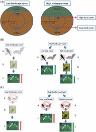 The average pest control specialist will usually charge around £150 to £200. Effects Of Bird And Bat Exclusion On Coffee Pest Control At Multiple Spatial Scales Springerlink
