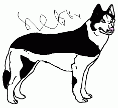 This dog coloring pages are fun way to teach your kids about dog. Husky Coloring Page Printable Husky