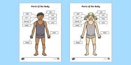 Different types of movements related with body.ies saavedra fajardophysical educationclil Body Parts Worksheet Labelling Activity Teacher Made