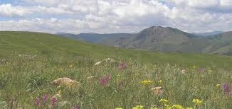 William F. Hayden Park