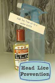 Homey Home Design Back To School Organization Part 4 Back To School Organization School Organization Tea Tree Oil