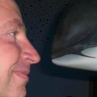 PDF) Thermo- and photo-reversible reactions for the preparation of smart  materials : smart rubbers and recyclable shape memory polymers