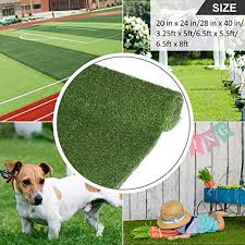 We did not find results for: Double Sided Artificial Turf Tape 16 5x2 Self Adhesive Synthetic Grass Seam Tape Lawn Garden Carpet Mat Rug Concrete Jointing Connecting Patio Lawn Garden Outdoor Rugs Aceprojectkenya Org
